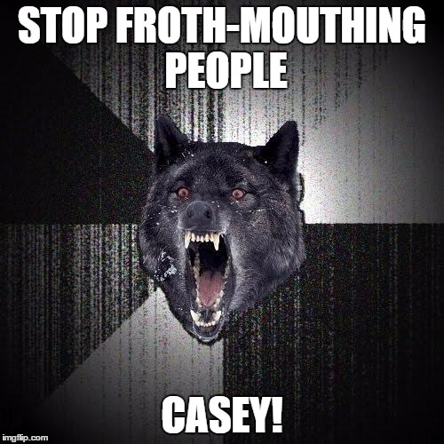 Insanity Wolf Meme | STOP FROTH-MOUTHING PEOPLE CASEY! | image tagged in memes,insanity wolf | made w/ Imgflip meme maker