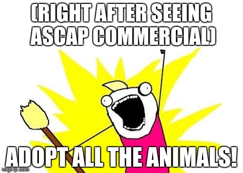 X All The Y | (RIGHT AFTER SEEING ASCAP COMMERCIAL) ADOPT ALL THE ANIMALS! | image tagged in memes,x all the y | made w/ Imgflip meme maker