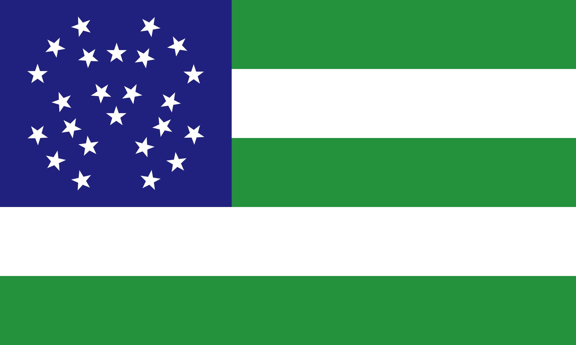 Nypd flag Blank Meme Template