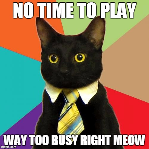 Business Cat | NO TIME TO PLAY WAY TOO BUSY RIGHT MEOW | image tagged in memes,business cat | made w/ Imgflip meme maker