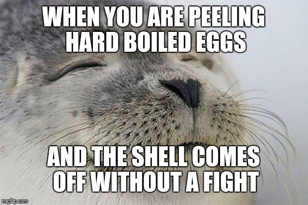 Satisfied Seal Meme | WHEN YOU ARE PEELING HARD BOILED EGGS AND THE SHELL COMES OFF WITHOUT A FIGHT | image tagged in memes,satisfied seal,AdviceAnimals | made w/ Imgflip meme maker