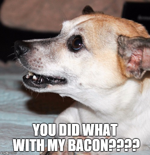 teasethedog | YOU DID WHAT WITH MY BACON???? | made w/ Imgflip meme maker