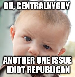Skeptical Baby Meme | OH, CENTRALNYGUY ANOTHER ONE ISSUE IDIOT REPUBLICAN | image tagged in memes,skeptical baby | made w/ Imgflip meme maker