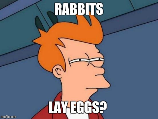 Futurama Fry Meme | RABBITS LAY EGGS? | image tagged in memes,futurama fry | made w/ Imgflip meme maker