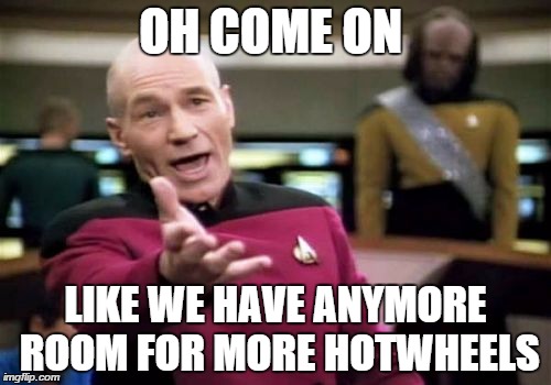 Picard Wtf Meme | OH COME ON LIKE WE HAVE ANYMORE ROOM FOR MORE HOTWHEELS | image tagged in memes,picard wtf | made w/ Imgflip meme maker