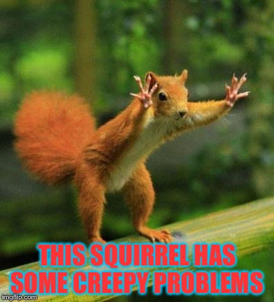 funny sqirrel | THIS SQUIRREL HAS SOME CREEPY PROBLEMS | image tagged in funny sqirrel | made w/ Imgflip meme maker