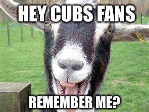 HEY CUBS FANS REMEMBER ME? | image tagged in chicago cubs,laughing goat,goat curse | made w/ Imgflip meme maker