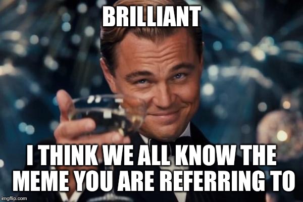 Leonardo Dicaprio Cheers Meme | BRILLIANT I THINK WE ALL KNOW THE MEME YOU ARE REFERRING TO | image tagged in memes,leonardo dicaprio cheers | made w/ Imgflip meme maker