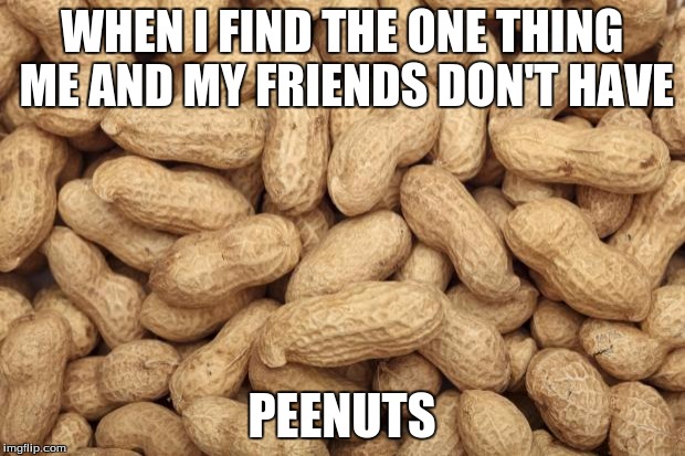 Random Stuff | WHEN I FIND THE ONE THING ME AND MY FRIENDS DON'T HAVE PEENUTS | image tagged in deez nutz,john cena,doge,deal with it,pokemon | made w/ Imgflip meme maker