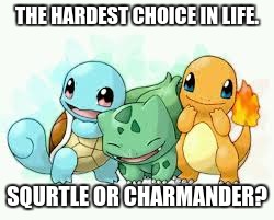 pokemon | THE HARDEST CHOICE IN LIFE. SQURTLE OR CHARMANDER? | image tagged in pokemon | made w/ Imgflip meme maker