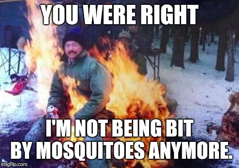 LIGAF | YOU WERE RIGHT I'M NOT BEING BIT BY MOSQUITOES ANYMORE. | image tagged in memes,ligaf | made w/ Imgflip meme maker