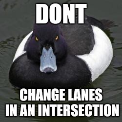 Angry Advice Mallard | DONT CHANGE LANES IN AN INTERSECTION | image tagged in angry advice mallard,AdviceAnimals | made w/ Imgflip meme maker