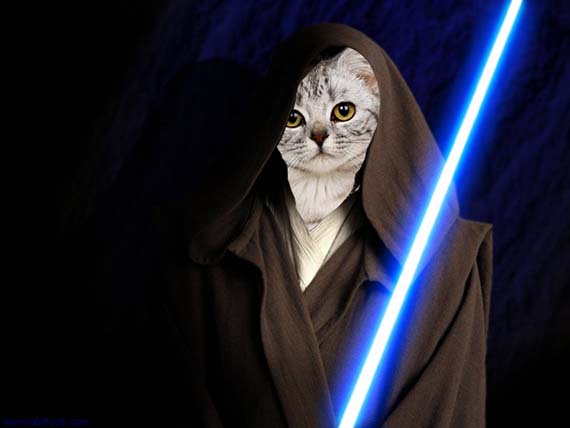 Jedi cat Blank Meme Template