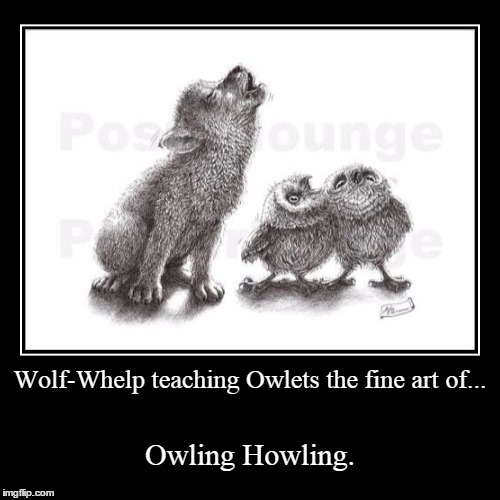 Owling Mad! | image tagged in funny,demotivationals | made w/ Imgflip demotivational maker
