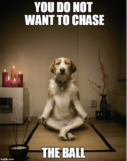 dog meditation funny | YOU DO NOT WANT TO CHASE THE BALL | image tagged in dog meditation funny | made w/ Imgflip meme maker