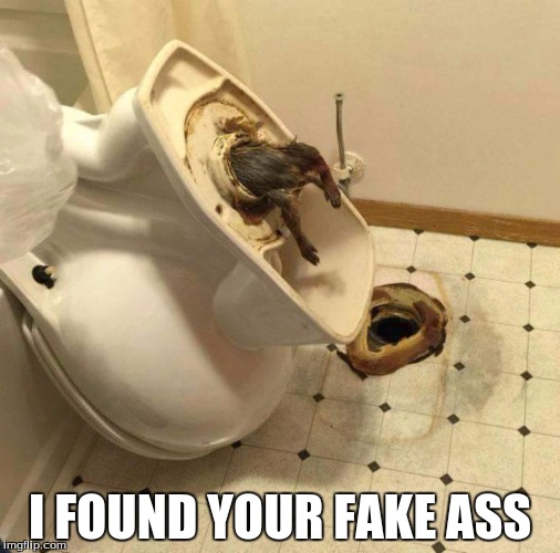 Sewer rat fink snitch piece of shi*. | I FOUND YOUR FAKE ASS | image tagged in sewer rat fink snitch piece of shi | made w/ Imgflip meme maker