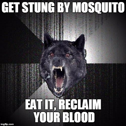 Insanity Wolf Meme | GET STUNG BY MOSQUITO EAT IT, RECLAIM YOUR BLOOD | image tagged in memes,insanity wolf | made w/ Imgflip meme maker