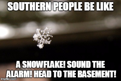 SOUTHERN PEOPLE BE LIKE A SNOWFLAKE! SOUND THE ALARM! HEAD TO THE BASEMENT! | image tagged in southern pride,the south,winter | made w/ Imgflip meme maker