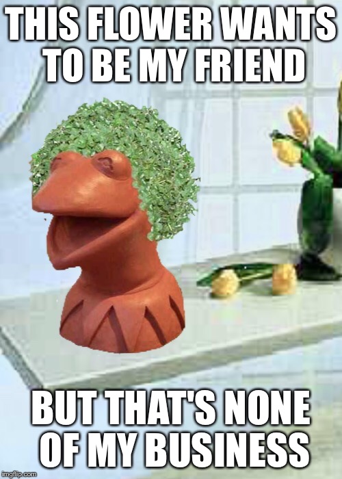 Chia Kermit | THIS FLOWER WANTS TO BE MY FRIEND BUT THAT'S NONE OF MY BUSINESS | image tagged in but thats none of my business,memes,funny memes,justjeff | made w/ Imgflip meme maker