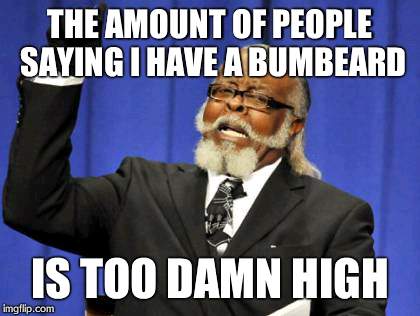 Too Damn High | THE AMOUNT OF PEOPLE SAYING I HAVE A BUMBEARD IS TOO DAMN HIGH | image tagged in memes,too damn high | made w/ Imgflip meme maker