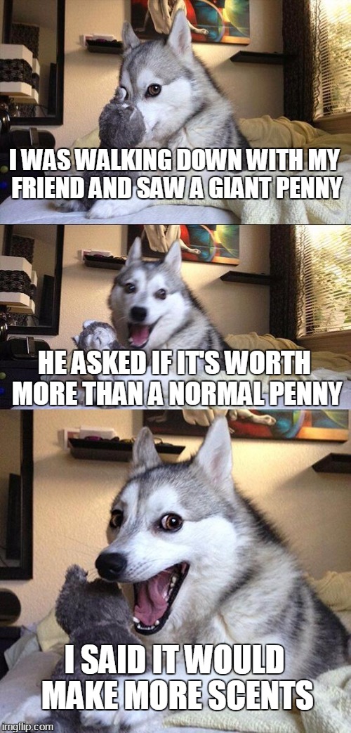 Bad Pun Dog | I WAS WALKING DOWN WITH MY FRIEND AND SAW A GIANT PENNY HE ASKED IF IT'S WORTH MORE THAN A NORMAL PENNY I SAID IT WOULD MAKE MORE SCENTS | image tagged in memes,bad pun dog | made w/ Imgflip meme maker