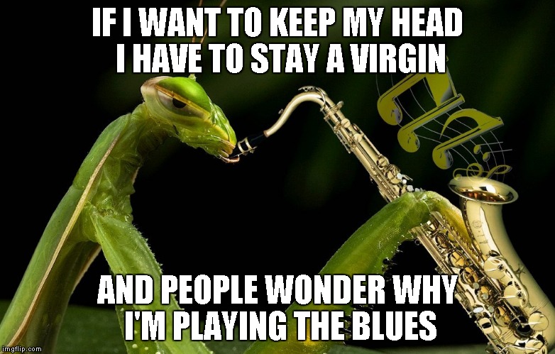Nobody leaves without singing the blues. | IF I WANT TO KEEP MY HEAD I HAVE TO STAY A VIRGIN AND PEOPLE WONDER WHY I'M PLAYING THE BLUES | image tagged in mantis playing sax,mantis,insects,funny,music,praying mantis | made w/ Imgflip meme maker