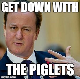 David Cameron | GET DOWN WITH THE PIGLETS | image tagged in david cameron | made w/ Imgflip meme maker