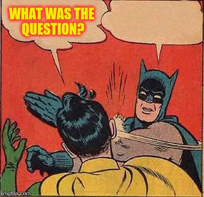 Batman Slapping Robin | WHAT WAS THE QUESTION? | image tagged in memes,batman slapping robin | made w/ Imgflip meme maker