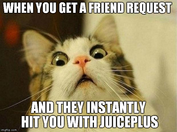 Scared Cat Meme | WHEN YOU GET A FRIEND REQUEST AND THEY INSTANTLY HIT YOU WITH JUICEPLUS | image tagged in memes,scared cat | made w/ Imgflip meme maker