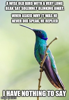 Wise Bird | A WISE OLD BIRD WITH A VERY LONG BEAK SAT SOLEMNLY BLINKING AWAY. I HAVE NOTHING TO SAY WHEN ASKED WHY IT WAS HE NEVER DID SPEAK, HE REPLIED | image tagged in wise,bird | made w/ Imgflip meme maker
