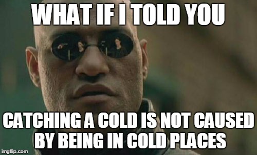 Matrix Morpheus | WHAT IF I TOLD YOU CATCHING A COLD IS NOT CAUSED BY BEING IN COLD PLACES | image tagged in memes,matrix morpheus | made w/ Imgflip meme maker