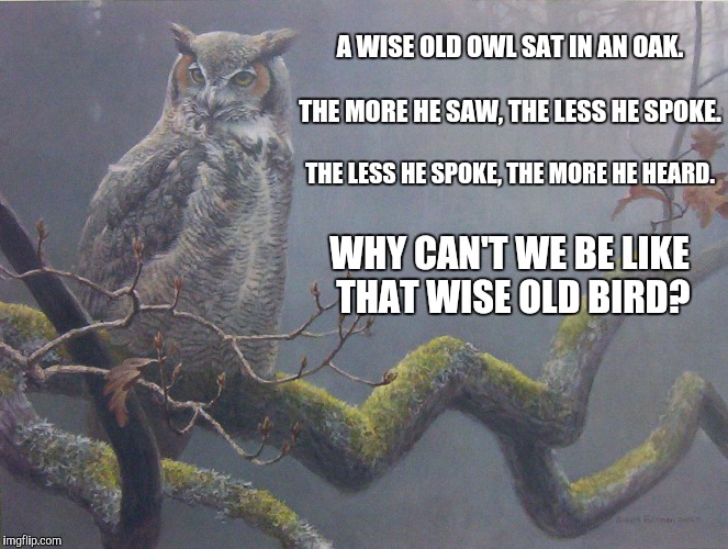 Wise Old Owl | A WISE OLD OWL SAT IN AN OAK. WHY CAN'T WE BE LIKE THAT WISE OLD BIRD? THE MORE HE SAW, THE LESS HE SPOKE. THE LESS HE SPOKE, THE MORE HE HE | image tagged in wise,owl | made w/ Imgflip meme maker