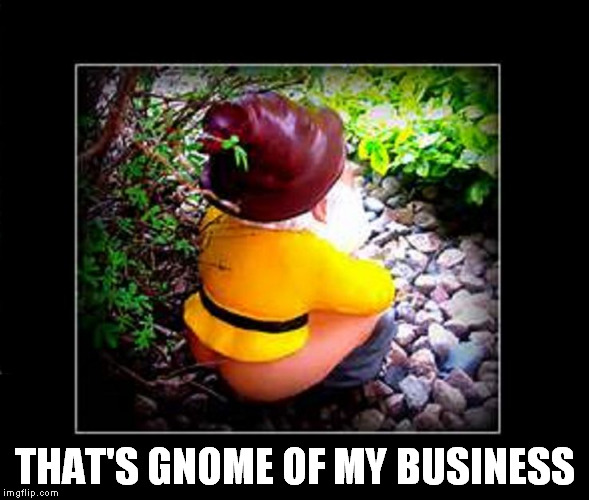 Business gnome | THAT'S GNOME OF MY BUSINESS | image tagged in business gnome,memes,pooping,none of my business | made w/ Imgflip meme maker