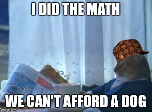 I Should Buy A Boat Cat Meme | I DID THE MATH WE CAN'T AFFORD A DOG | image tagged in memes,i should buy a boat cat,scumbag | made w/ Imgflip meme maker