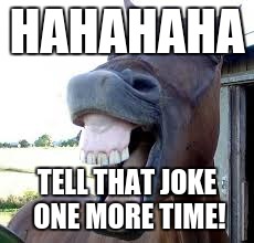 HAHAHAHA TELL THAT JOKE ONE MORE TIME! | image tagged in ha | made w/ Imgflip meme maker