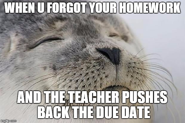 Satisfied Seal Meme | WHEN U FORGOT YOUR HOMEWORK AND THE TEACHER PUSHES BACK THE DUE DATE | image tagged in memes,satisfied seal | made w/ Imgflip meme maker