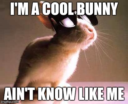 I'M A COOL BUNNY AIN'T KNOW LIKE ME | image tagged in cool | made w/ Imgflip meme maker