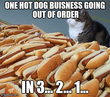 Too many hot dogs | ONE HOT DOG BUISNESS
GOING OUT OF ORDER IN 3... 2... 1... | image tagged in too many hot dogs | made w/ Imgflip meme maker