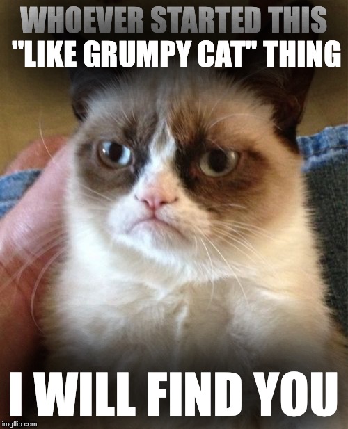 Grumpy Cat Meme | WHOEVER STARTED THIS "LIKE GRUMPY CAT" THING I WILL FIND YOU | image tagged in memes,grumpy cat | made w/ Imgflip meme maker