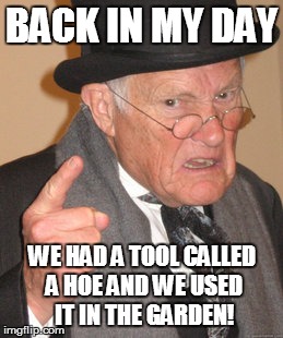 Back In My Day Meme | BACK IN MY DAY WE HAD A TOOL CALLED A HOE AND WE USED IT IN THE GARDEN! | image tagged in memes,back in my day | made w/ Imgflip meme maker