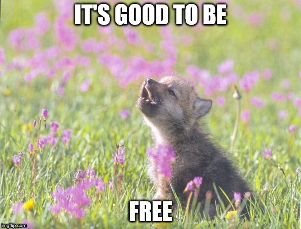 Baby Insanity Wolf | IT'S GOOD TO BE FREE | image tagged in memes,baby insanity wolf | made w/ Imgflip meme maker