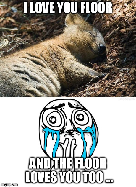 image tagged in cute,animals,rage comics | made w/ Imgflip meme maker