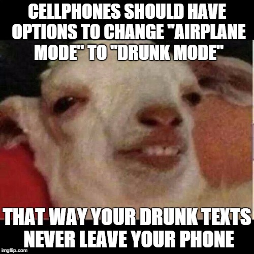 Drunk goat | CELLPHONES SHOULD HAVE OPTIONS TO CHANGE "AIRPLANE MODE" TO "DRUNK MODE" THAT WAY YOUR DRUNK TEXTS NEVER LEAVE YOUR PHONE | image tagged in drunk goat | made w/ Imgflip meme maker