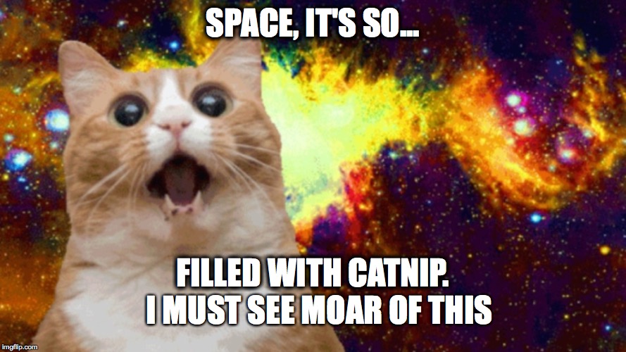 Reality Is An Illusion;Filled With Catnip. | SPACE, IT'S SO... FILLED WITH CATNIP. I MUST SEE MOAR OF THIS | image tagged in paradox,cat,wow | made w/ Imgflip meme maker