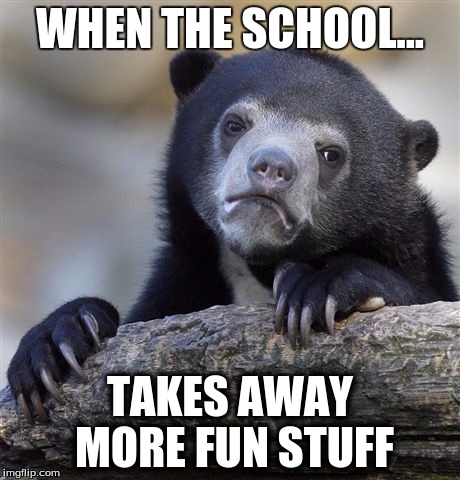 Confession Bear | WHEN THE SCHOOL... TAKES AWAY MORE FUN STUFF | image tagged in memes,confession bear | made w/ Imgflip meme maker