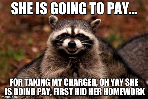 Evil Plotting Raccoon | SHE IS GOING TO PAY... FOR TAKING MY CHARGER, OH YAY SHE IS GOING PAY, FIRST HID HER HOMEWORK | image tagged in memes,evil plotting raccoon | made w/ Imgflip meme maker