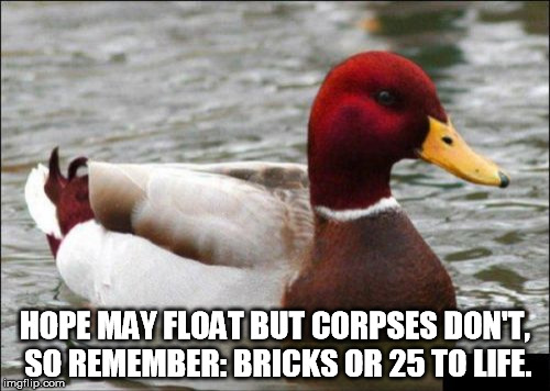 Malicious Advice Mallard Meme | HOPE MAY FLOAT BUT CORPSES DON'T, SO REMEMBER: BRICKS OR 25 TO LIFE. | image tagged in memes,malicious advice mallard | made w/ Imgflip meme maker