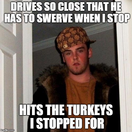 Scumbag Steve Meme | DRIVES SO CLOSE THAT HE HAS TO SWERVE WHEN I STOP HITS THE TURKEYS I STOPPED FOR | image tagged in memes,scumbag steve,AdviceAnimals | made w/ Imgflip meme maker