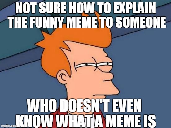 Futurama Fry Meme | NOT SURE HOW TO EXPLAIN THE FUNNY MEME TO SOMEONE WHO DOESN'T EVEN KNOW WHAT A MEME IS | image tagged in memes,futurama fry | made w/ Imgflip meme maker