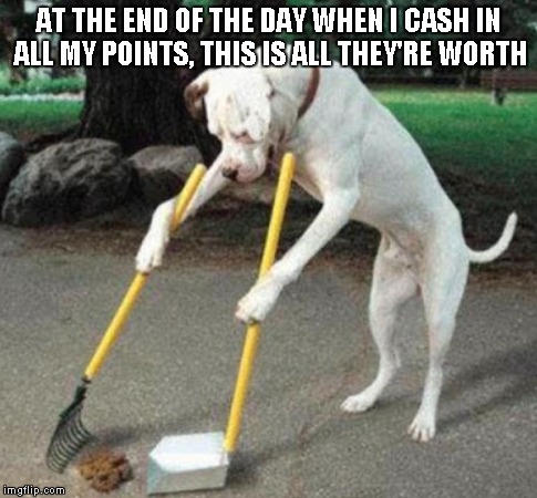 Dog Scooping Poop | AT THE END OF THE DAY WHEN I CASH IN ALL MY POINTS, THIS IS ALL THEY'RE WORTH | image tagged in dog scooping poop | made w/ Imgflip meme maker